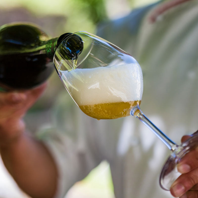 FERMENTO VIVENDA - Fermentierter Aperitif