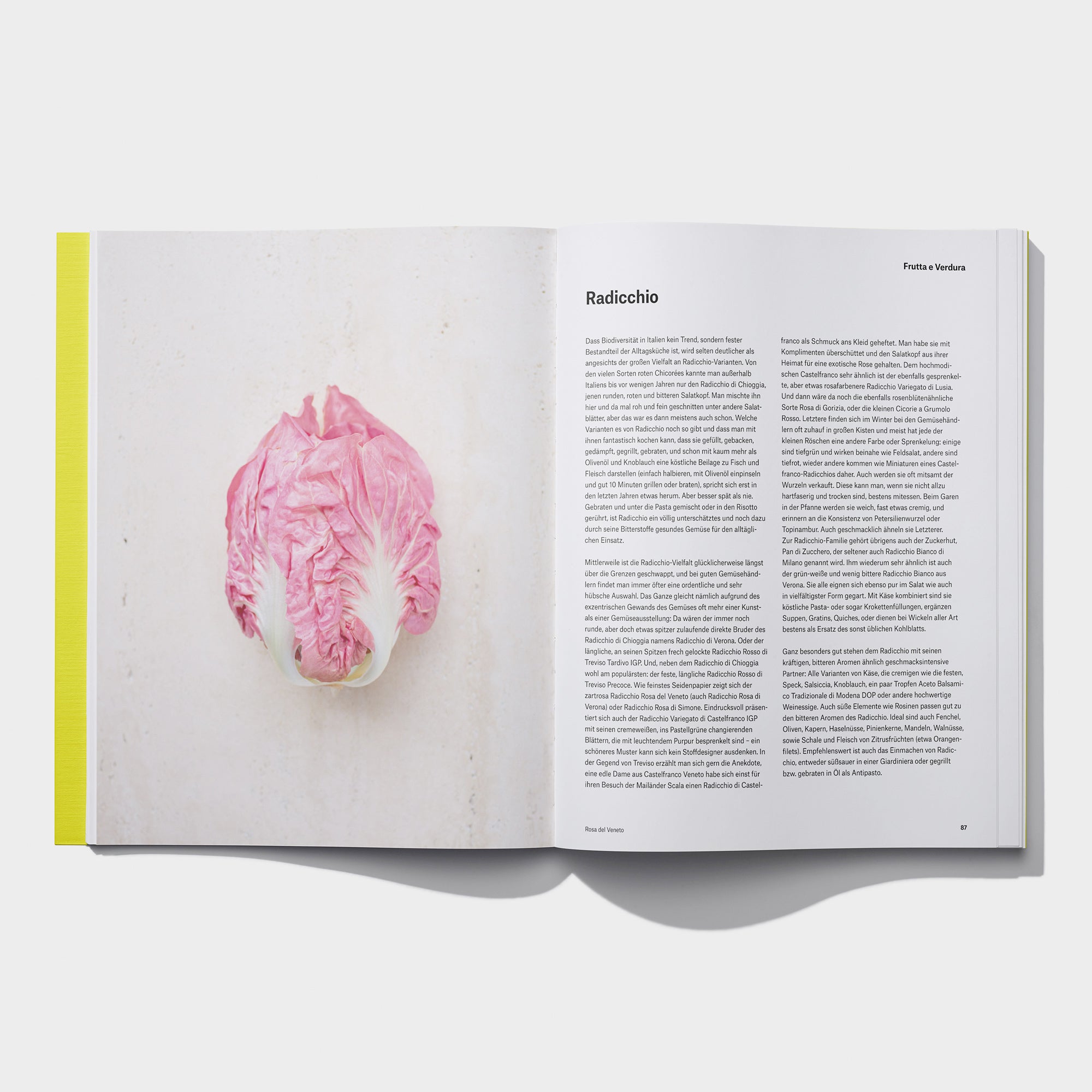 Kochbuch SPLENDIDO II