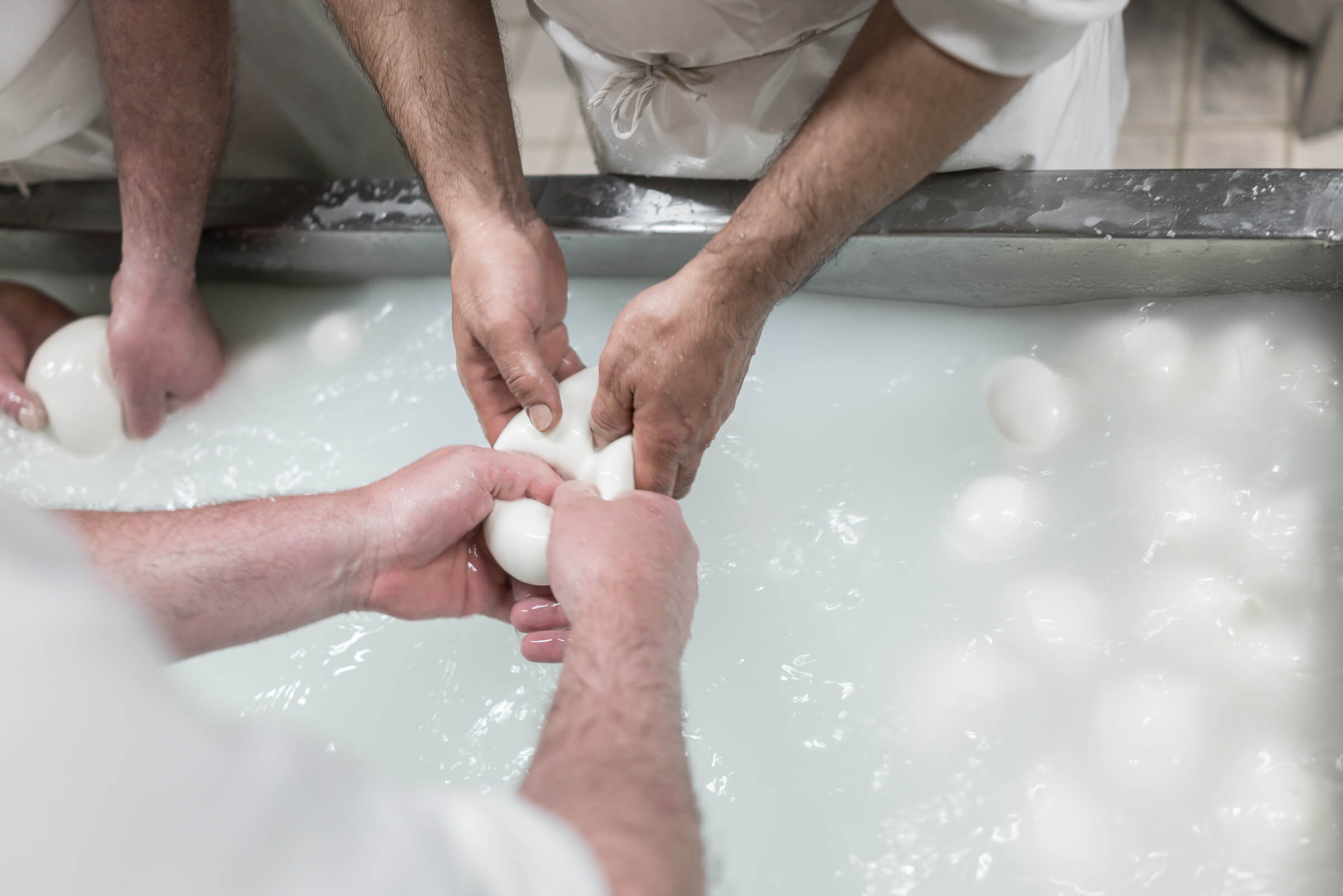 Der Unterschied: Mozzarella di bufala und Fior di latte