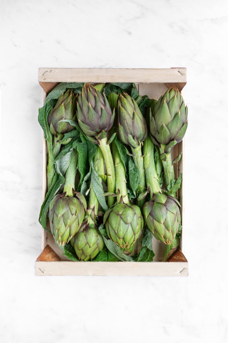Postkartenset Alimentari