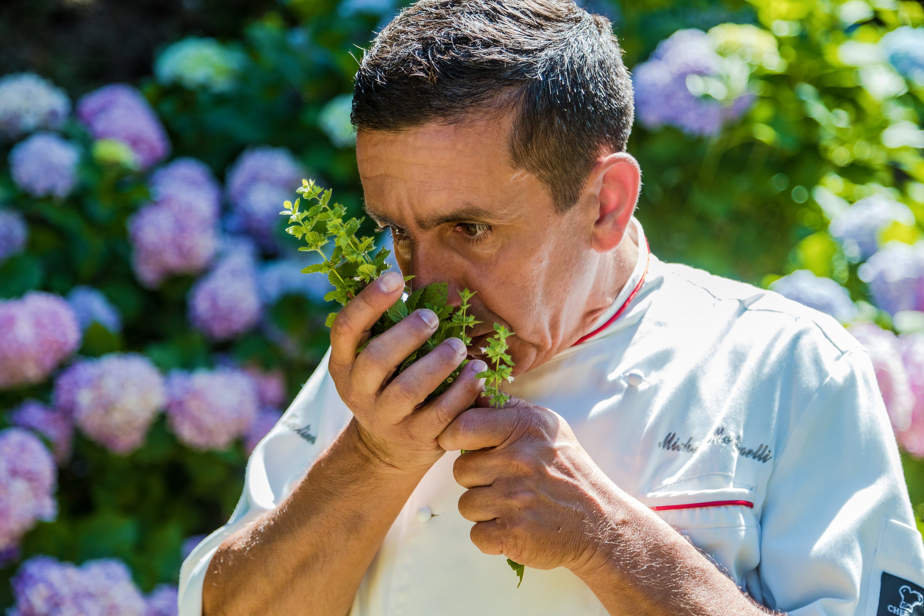 FERMENTO Ø - Alkoholfreier Aperitif