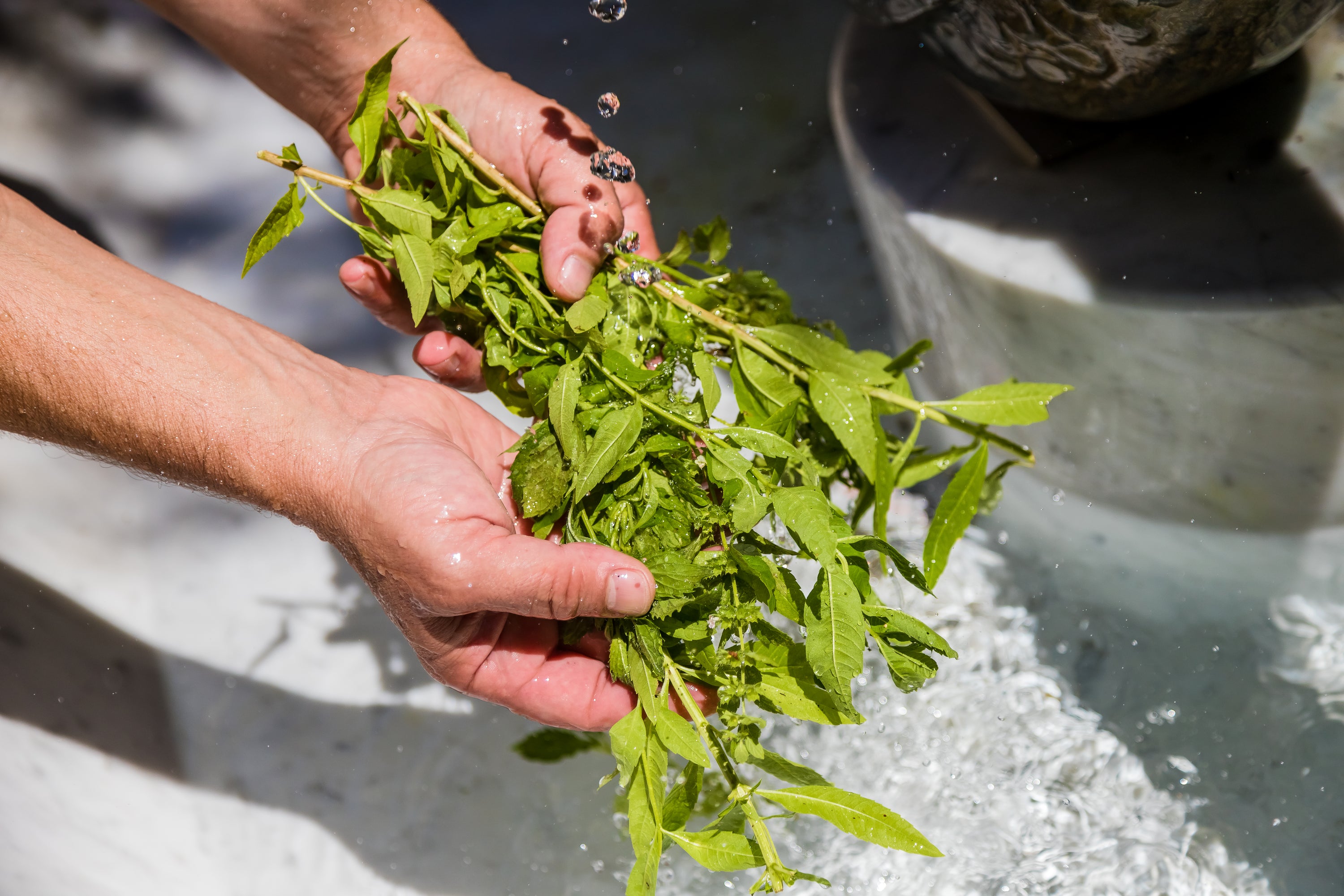 FERMENTO Ø - Alkoholfreier Aperitif