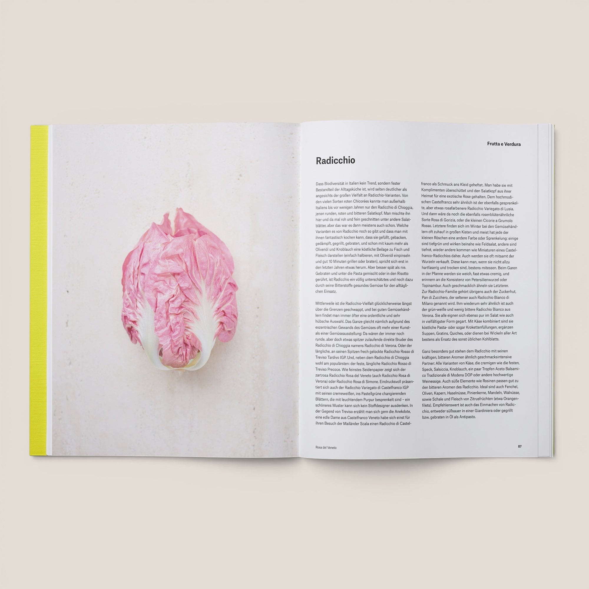 Kochbuch SPLENDIDO II