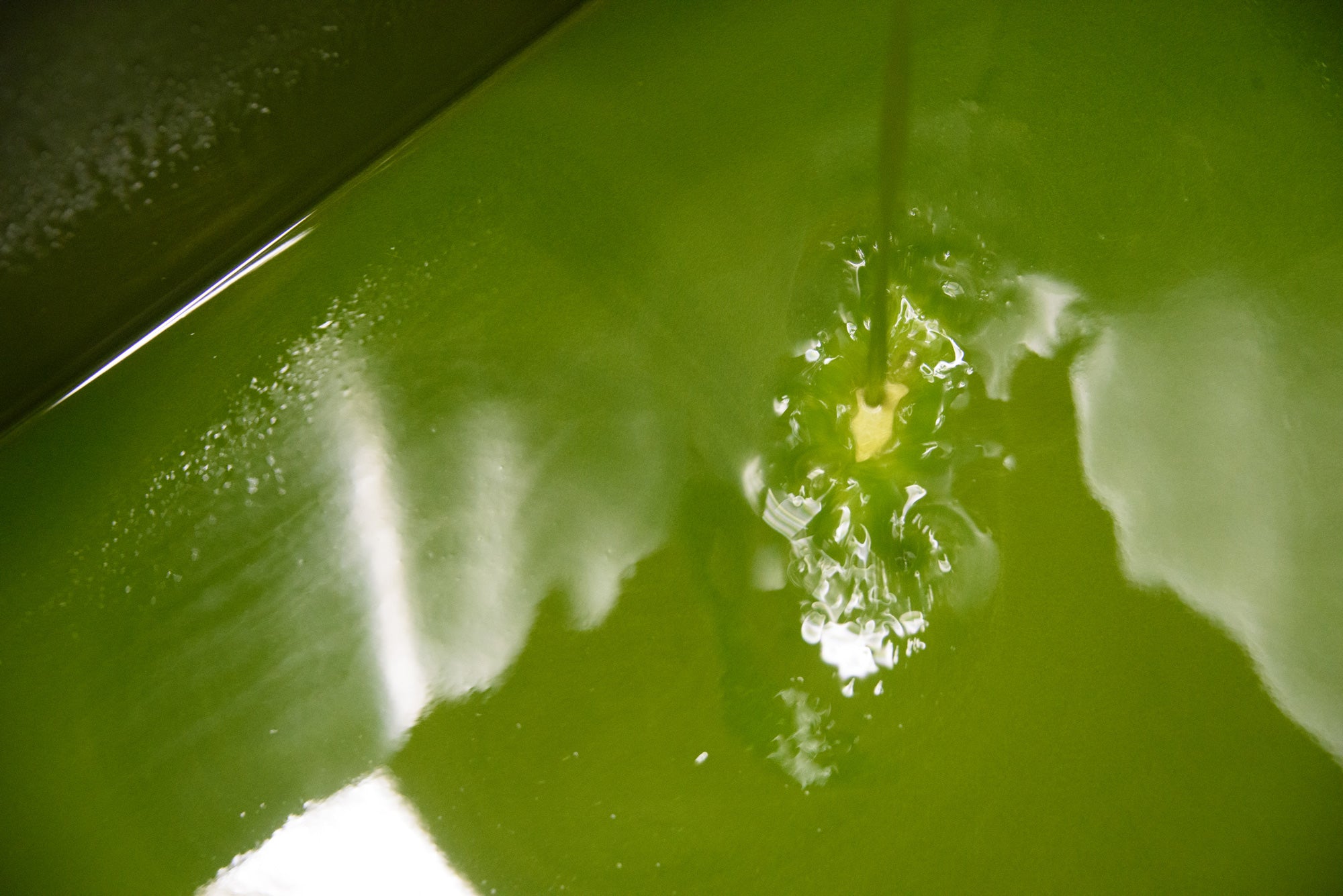 Laudemio Olivenöl Extra Vergine