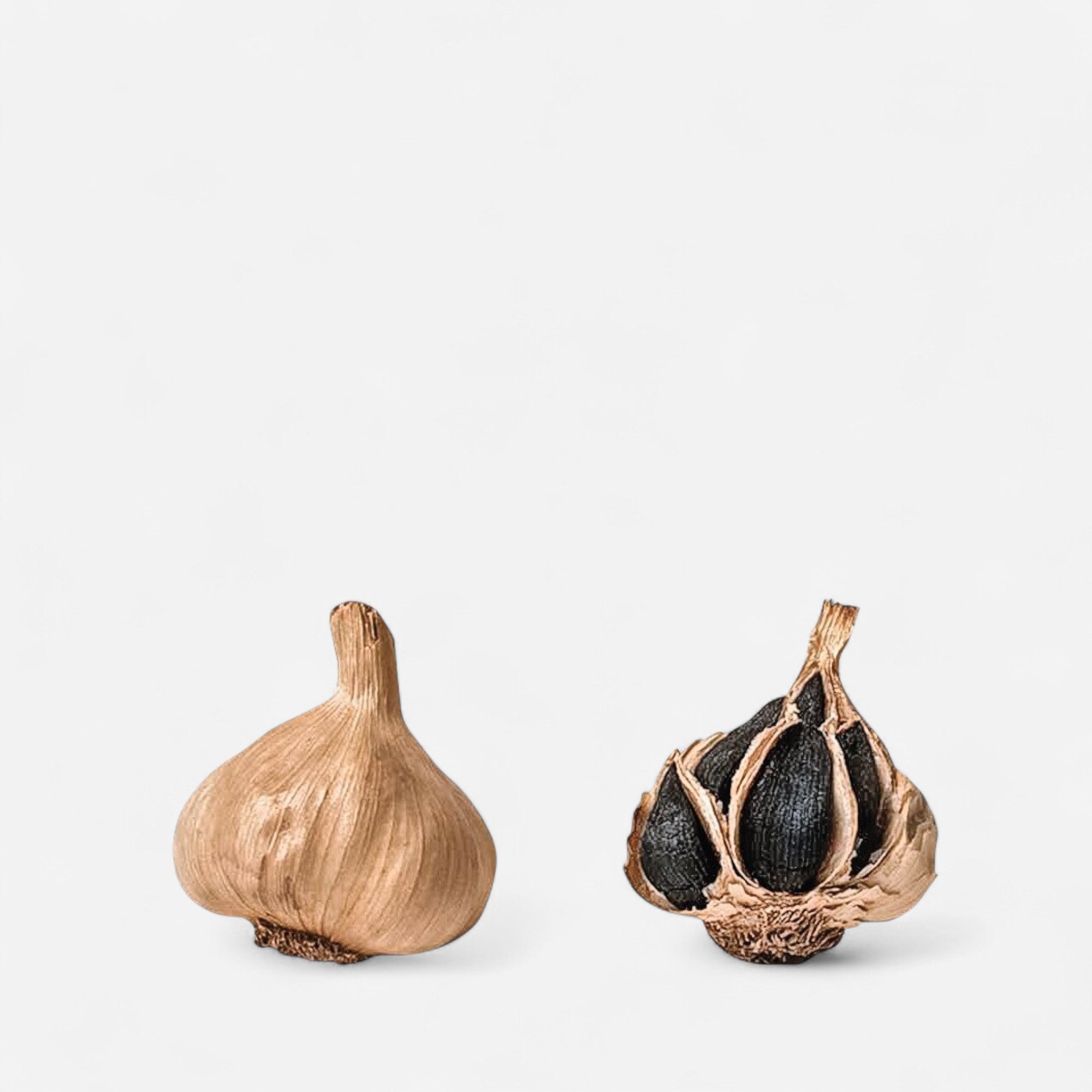 Fermentierter Knoblauch Nero di Voghiera