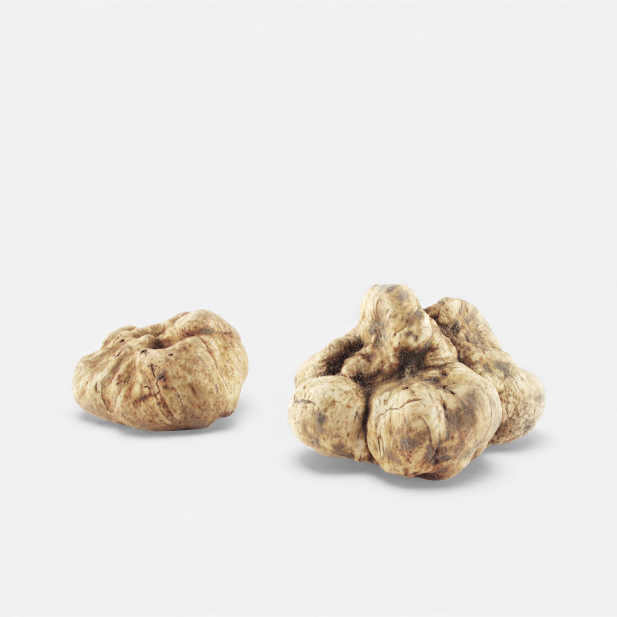 SPLENDIDO-BOX WEISSE TRÜFFEL