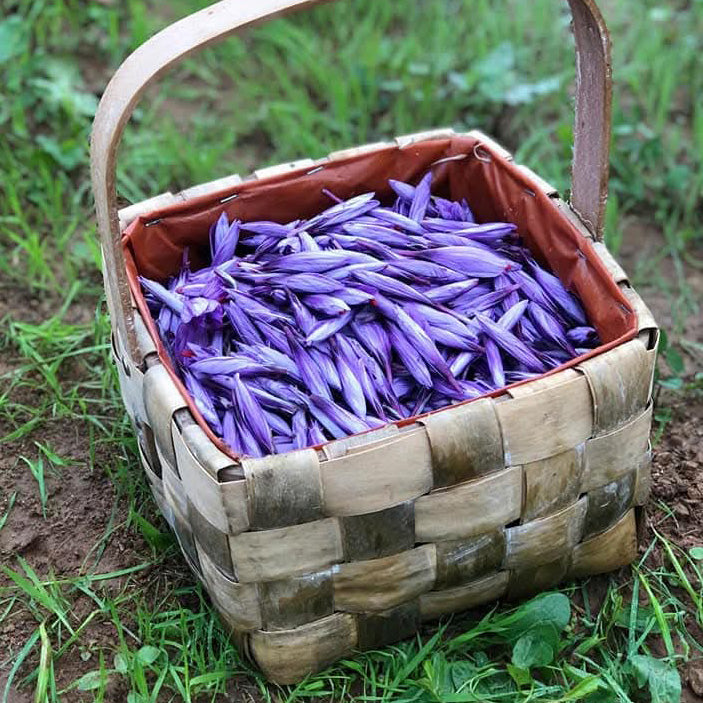 Toskanischer Safran in Fäden