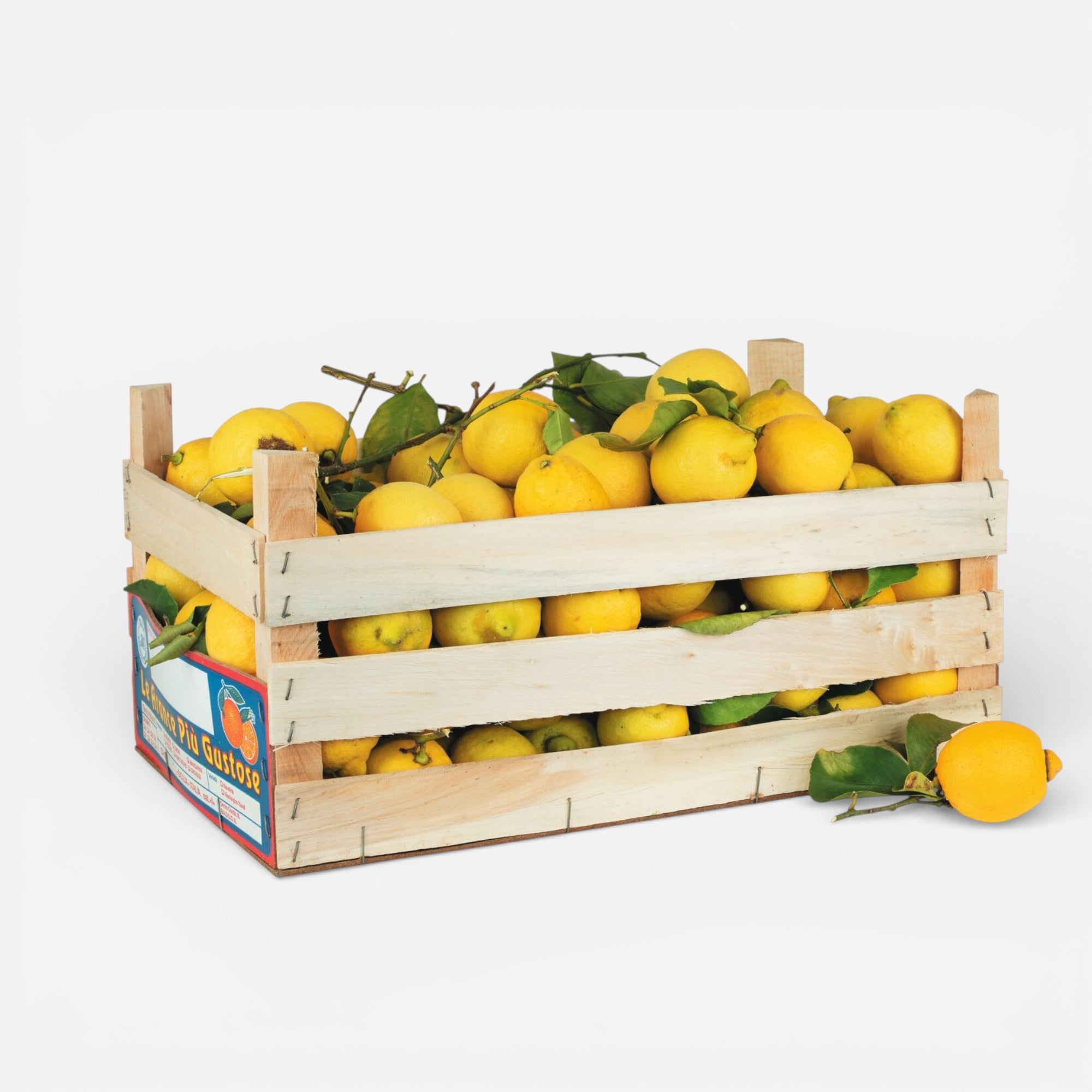 Frische sizilianische Zitronen