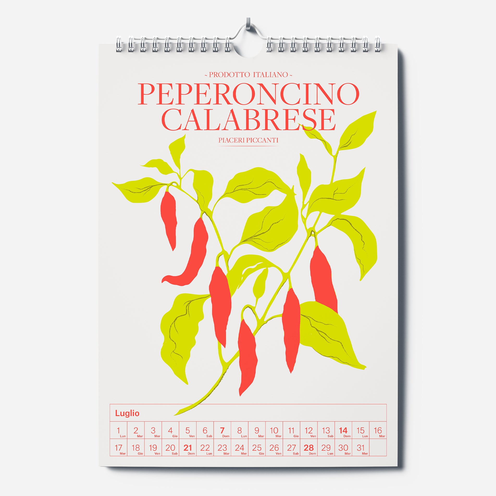 Calendario Splendido 2024